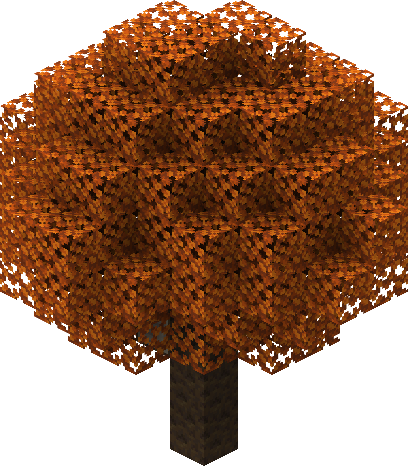 Orange Poplar Tree