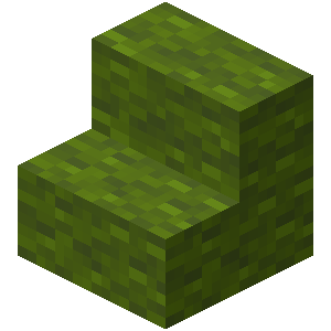 Green Wool Stairs