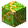 Lime Glazed Terracotta