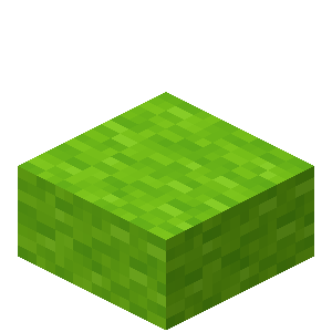 Lime Wool Slab