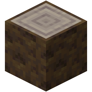 Poplar Log