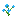 Blue Orchid