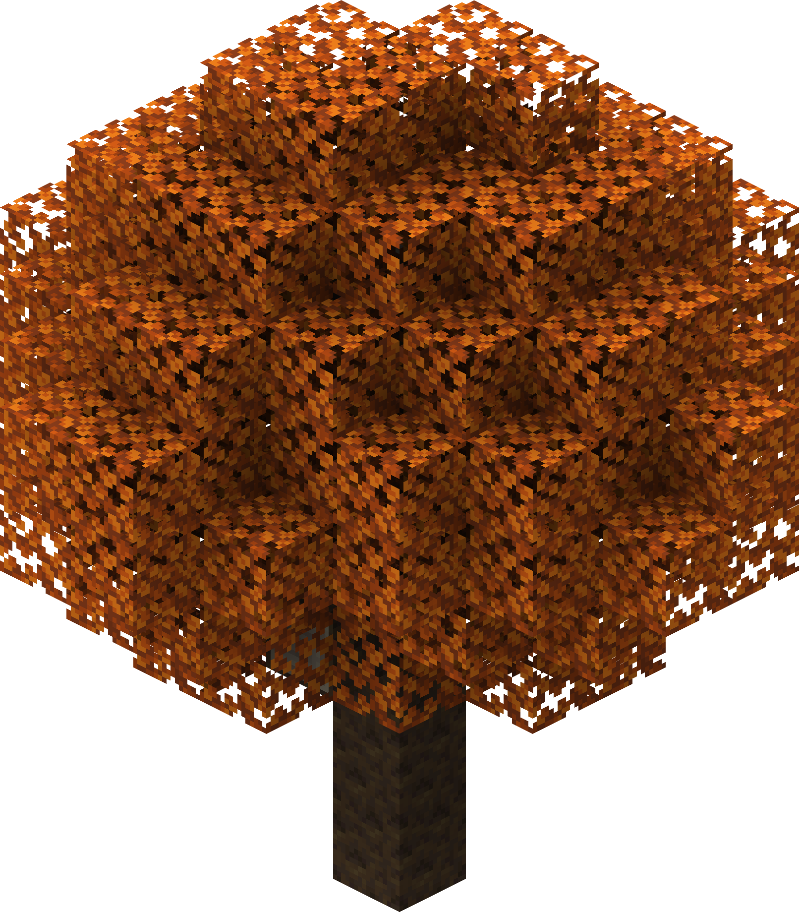 Orange Poplar Tree