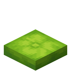 Lime Cushion