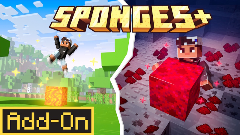 Sponges+