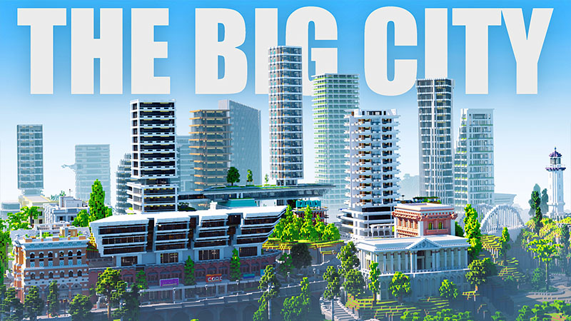 THE BIG CITY