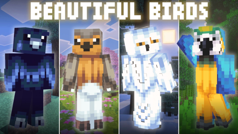 Beautiful Birds