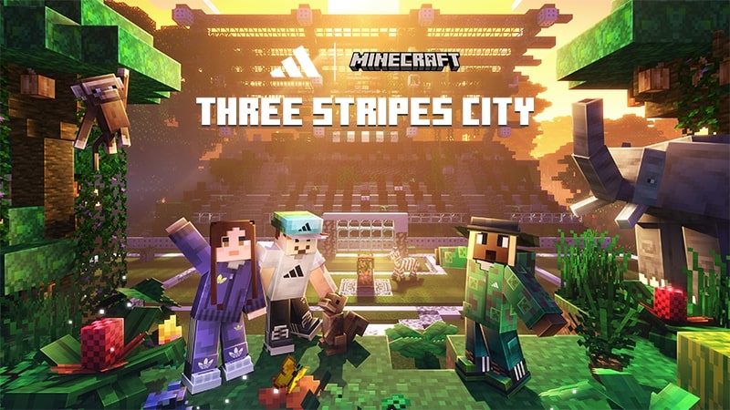 Three Stripes City