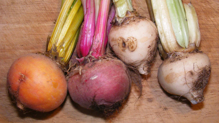 A collection of real-world root crops