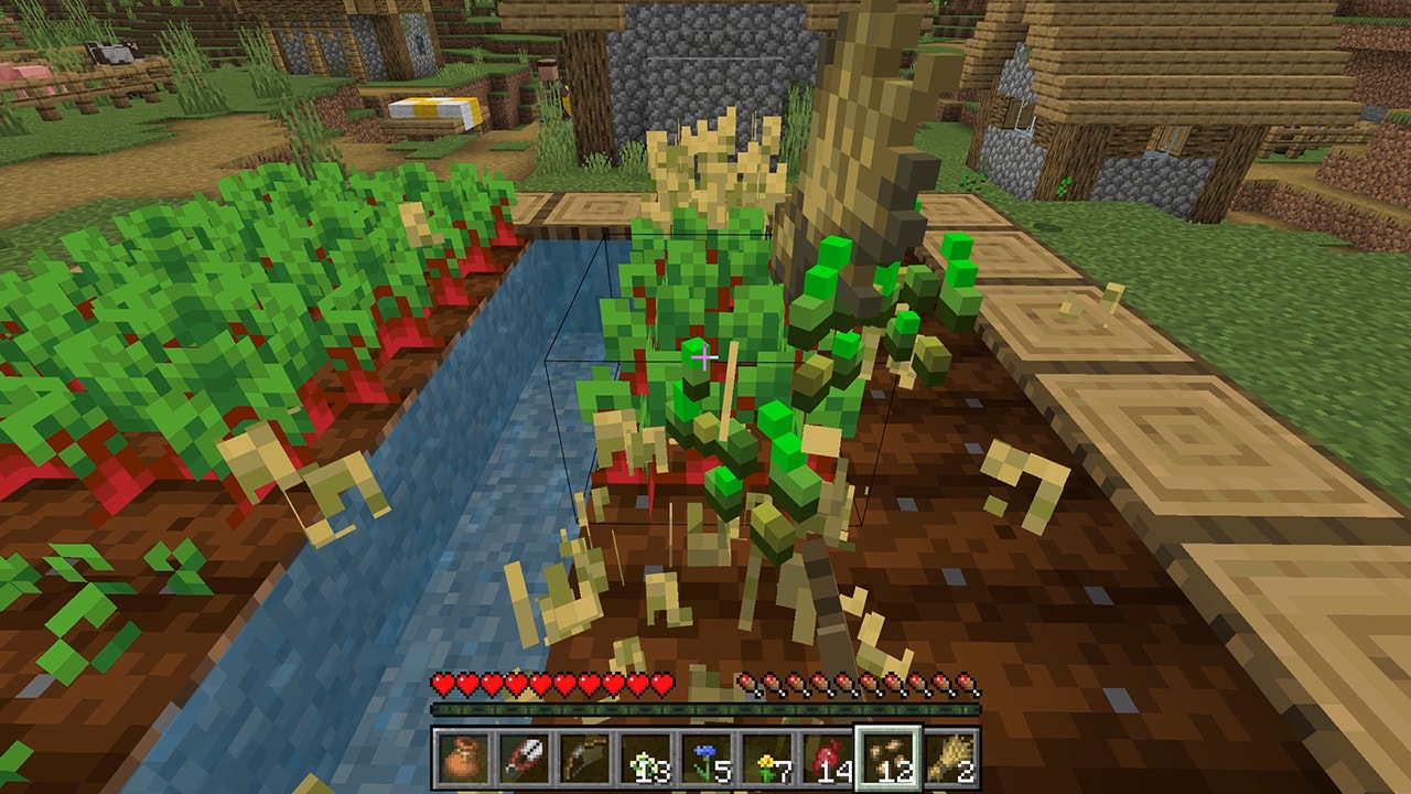 This image shows a player havesting beetroots for the bundle!