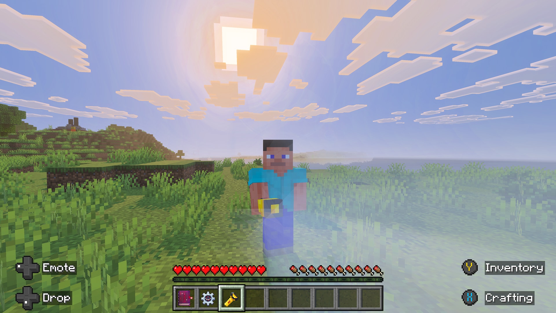 Minecraft screenshot of Steve standing in a grassy field under a sunny sky, holding a flashlight