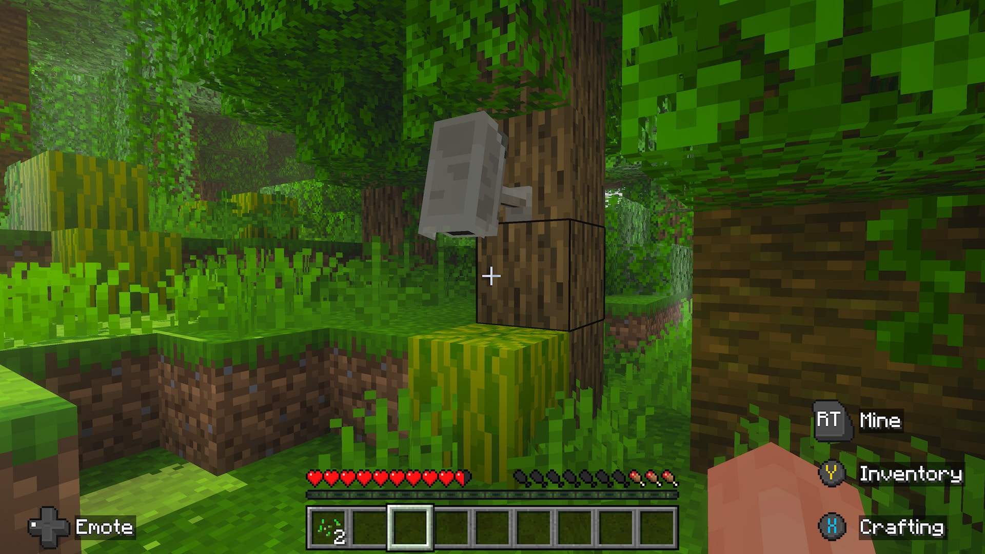 A screenshot of a camera on a tree