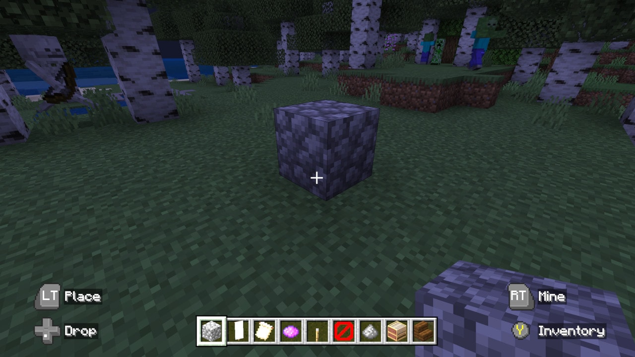 This image shows a cobblestone block. Yep, that's it.