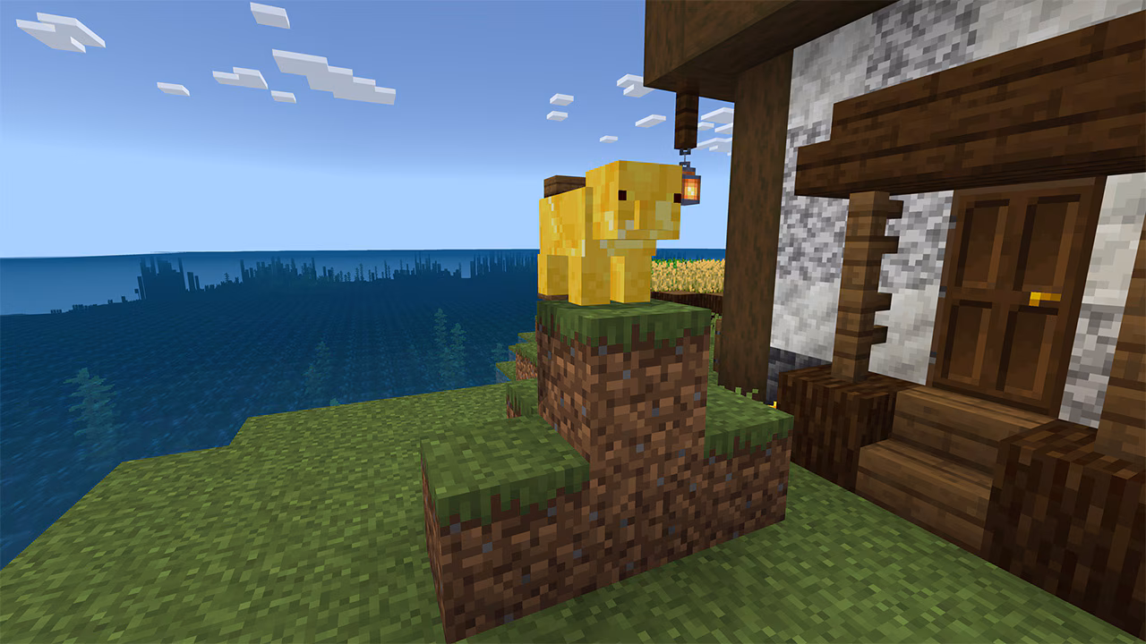 pic of yellow pig near house