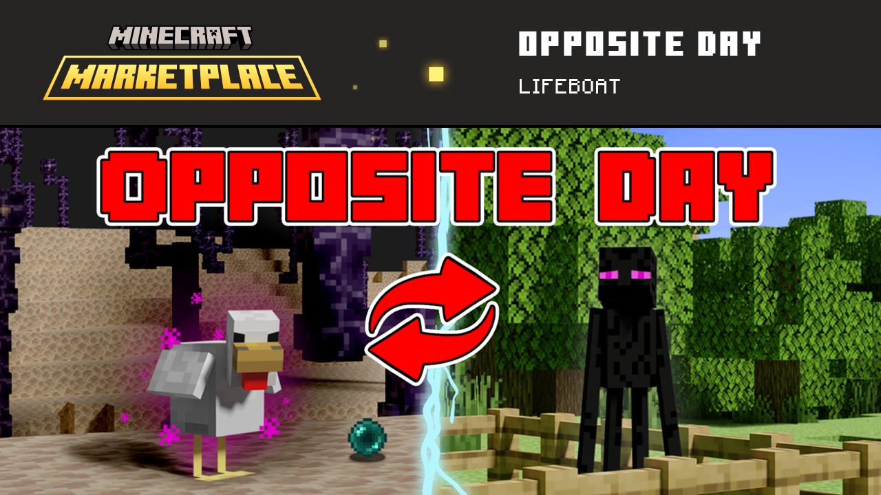 Pic of a enderman and a chicken