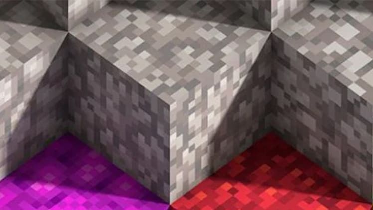 A close-up of dead coral blocks.