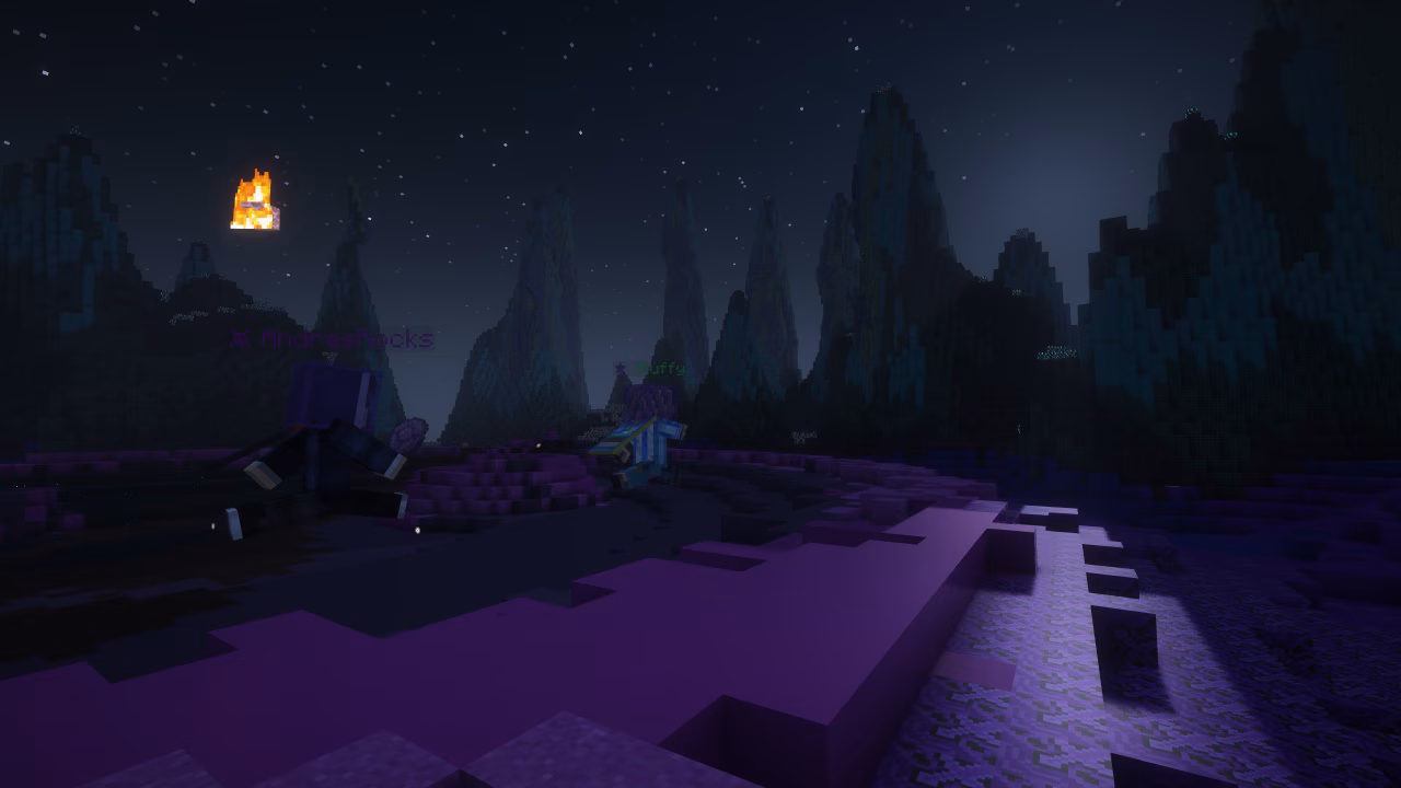 A Minecraft screenshot, depicting two players running across a purple biome in the night.