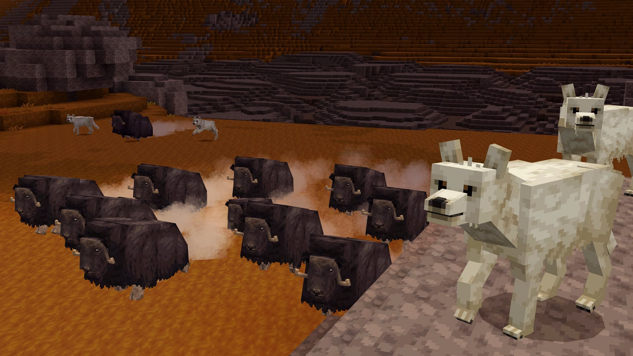 A screenshot of arctic wolves stalking a group of musk oxen.