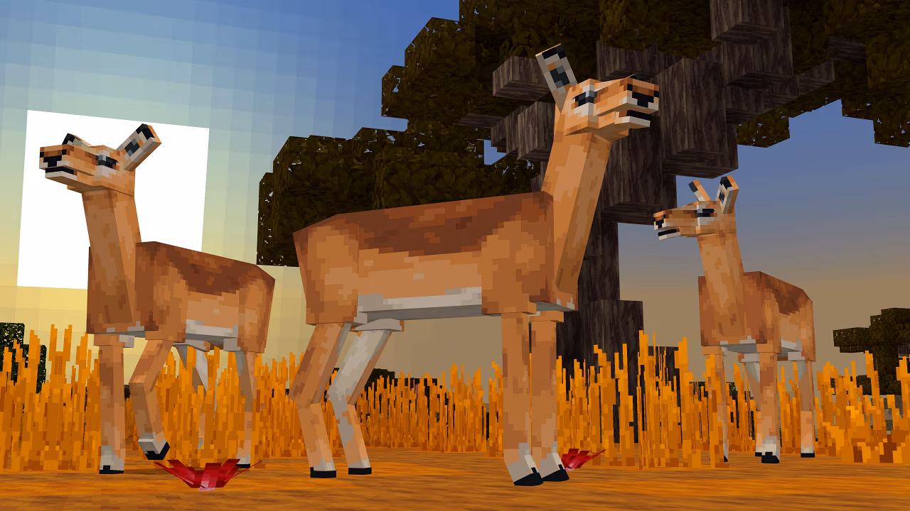 A screenshot of three impalas in the savanna.