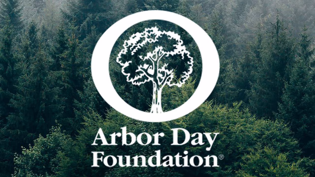 A green forest is seen behind the logo of the Arbor Day Foundation