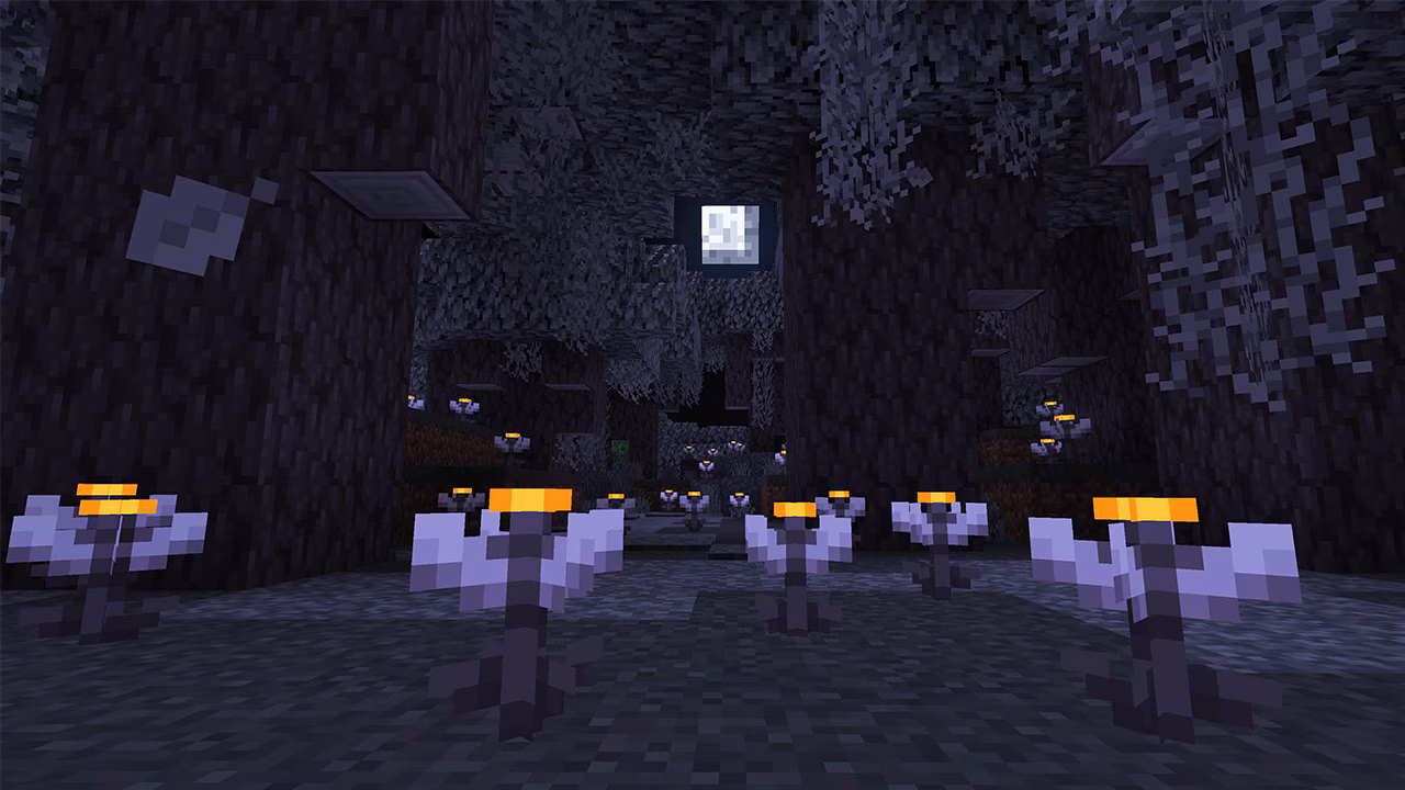 This screenshot shows a trail of eyeblossoms glowing after night has fallen!