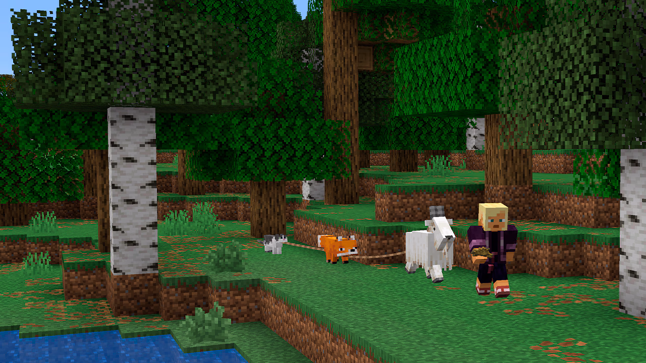 This is a screenshot of a player with a goat, a fox, and a cat all leashed together!